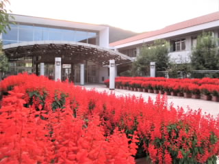 r5092601.jpg