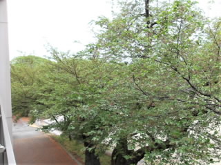 r6050101.jpg