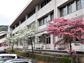 r6050102.jpg