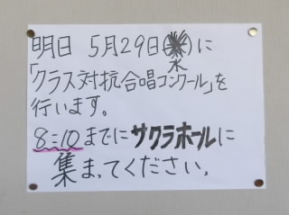 r6052904.jpg