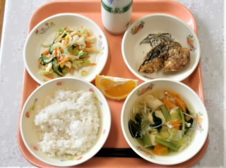 r6060402.jpg