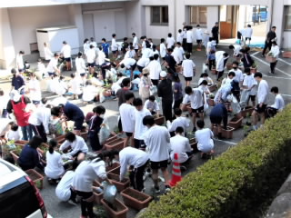 r6060411.jpg