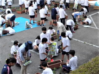 r6060412.jpg
