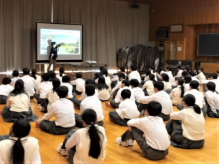 r6060706.jpg