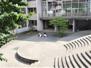 r6060709.jpg