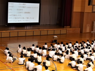 r6062507.jpg