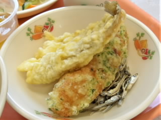 r6070504.jpg