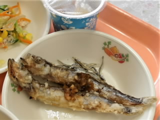 r6071015.jpg
