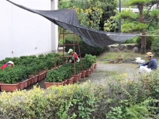 r6081301.jpg