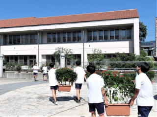 r6090504.jpg