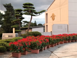 r60911124.jpg
