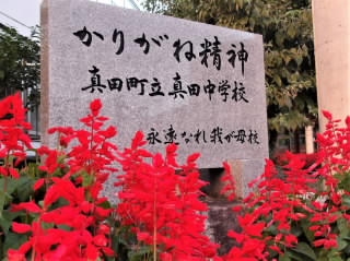 r60911126.jpg