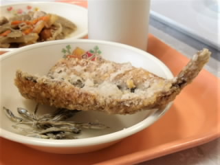 r6100406.jpg