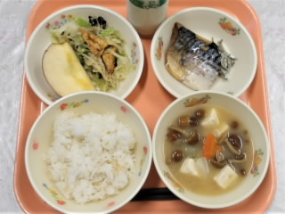 r6100901.jpg