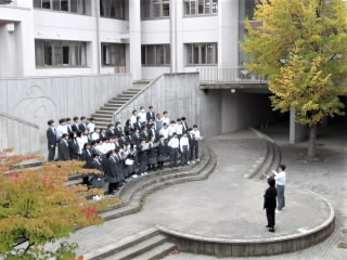 r6102901.jpg