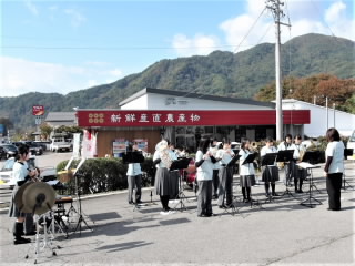 r6110302.jpg