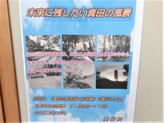 r6110504.jpg
