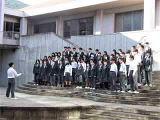 r6110715.jpg