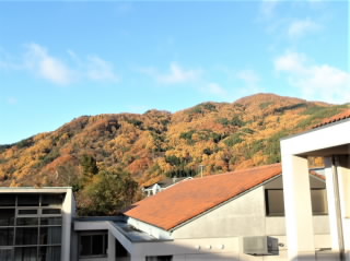 r6111901.jpg