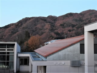 r6121002.jpg