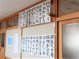 r7012703.jpg