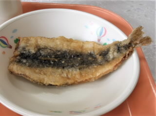 r7020304.jpg