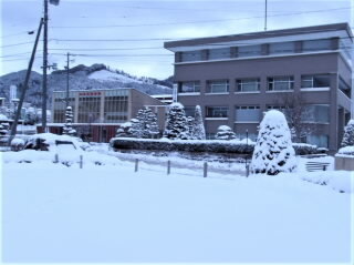 r7030504.jpg
