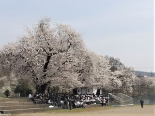 r7041806.jpg