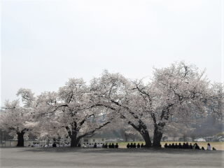 r7041807.jpg