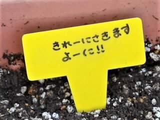 r7060540.jpg