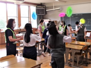 r7060902.jpg
