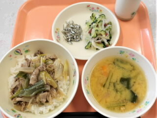 r7071802.jpg