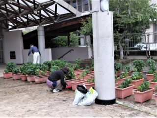 r7081104.jpg