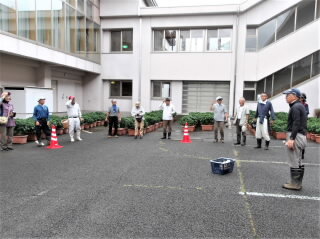 r7081108.jpg