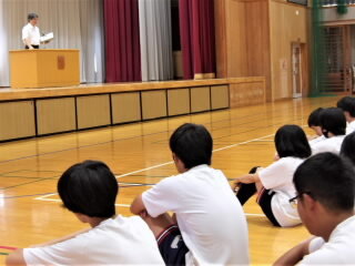 r7082103.jpg