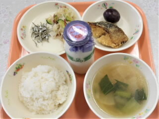 r7082702.jpg