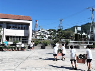 r7090211.jpg