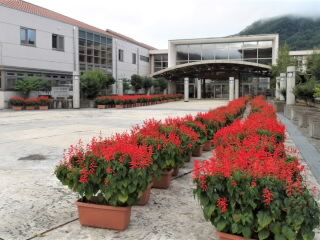 r7091202.jpg