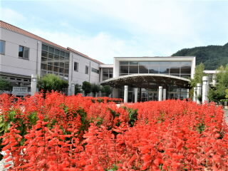 r7092201.jpg