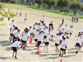 r7092617.jpg