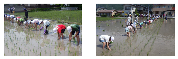 20250613taue.png