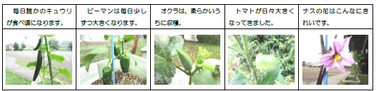 コメント 2025-07-04 090921.png