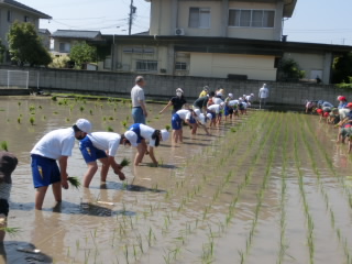 20210610taue01.JPG