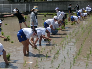 20210610taue02.JPG