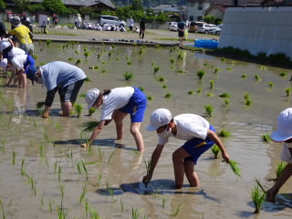 20210610taue03.JPG