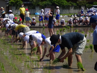 20210610taue04.JPG