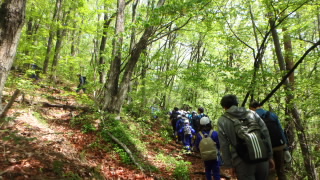 20240510taro.JPG