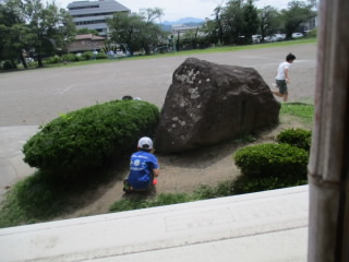 mutyuu20240705 (6).JPG
