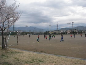 2025041706.JPG