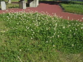 2024061307.JPG